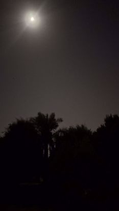 Picture of  ehehejjjj fahad alahmed block 3 street 323 h 3