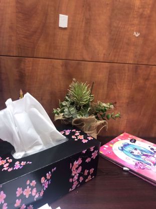 Picture of chccxbghvgg bgdhkut jfdgyt