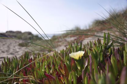 Picture of sdxfcghvjkgfdhrtyiujolhfgtdryjvfcvhbji