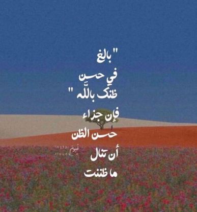 Picture of ho I will let you 